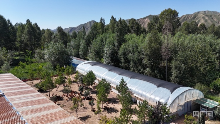 【甘快看】永登：山河共此青绿