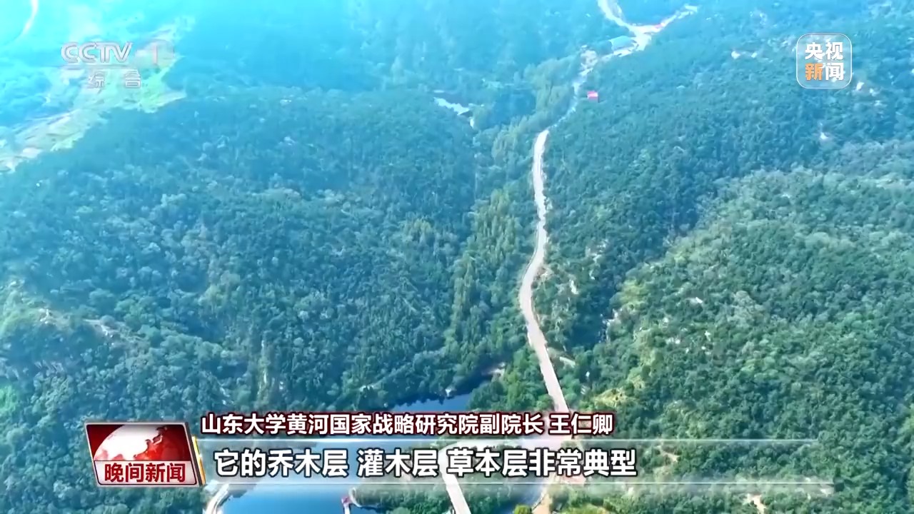 看见美丽中国丨炸水泥厂、种万棵树！“石头村”20年逆袭97%森林覆盖