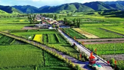 定西市岷县与青岛：共谱东西部协作交响曲