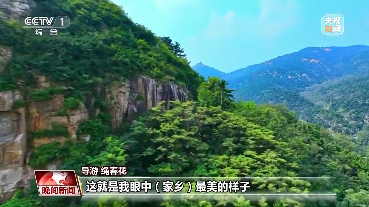 看见美丽中国丨炸水泥厂、种万棵树！“石头村”20年逆袭97%森林覆盖