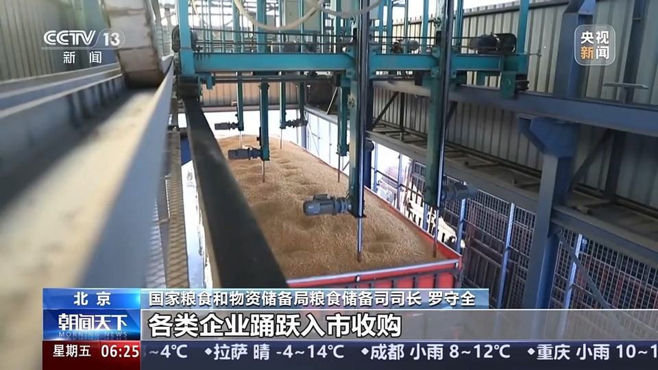 秋粮入仓忙 看科技如何赋能“大国粮仓”