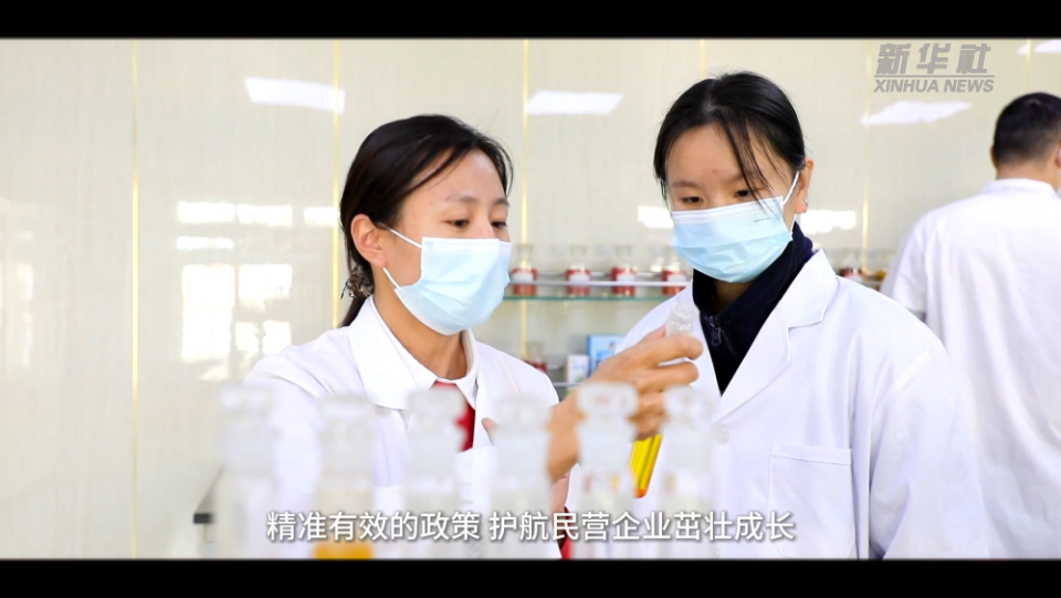 民营经济谱新篇｜奋楫未来 开创民营经济发展新局面