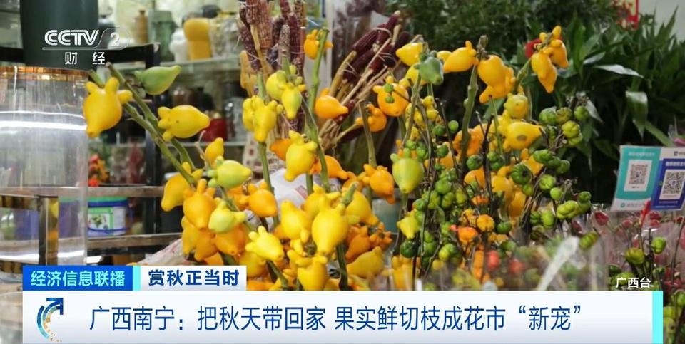 把满满氛围感带回家 这个秋天 果实鲜切枝成花市“新宠”