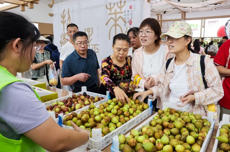 옌타이 후이리 농업박람원, 자오둥 문화관광의 새로운 랜드마크로 부상_fororder_图片2