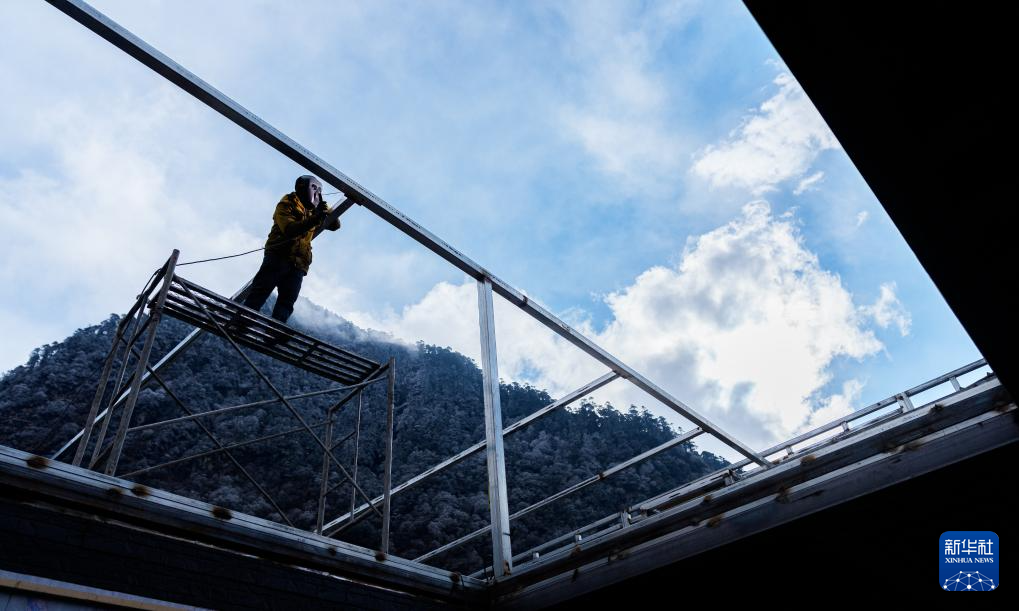 新春走基层｜玉麦新颜