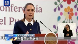 关税后美又对墨西哥番茄征税 墨总统：均不接受 谈不拢就采取行动