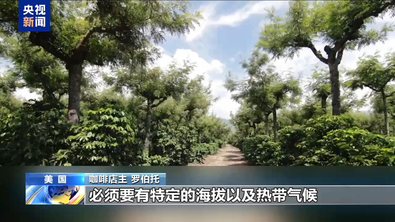 咖啡难自给自足 美滥施关税重压本国小企业