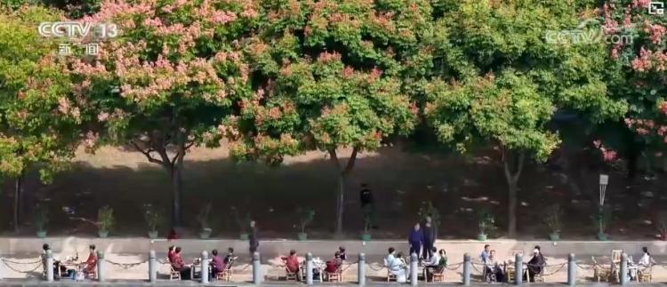 秋季文旅消费热力十足：银发专列跨省游与城市赏秋经济双双升温