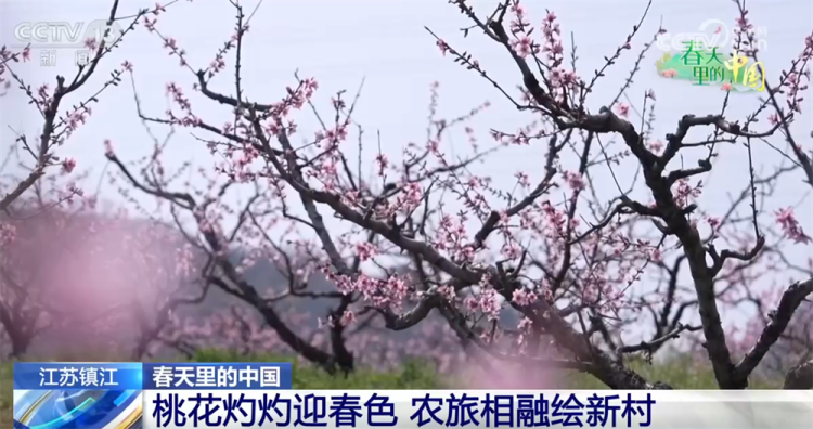 “春赏花、夏采果”农旅互促模式构建新生态 乡村振兴“新”图景正渐次展开