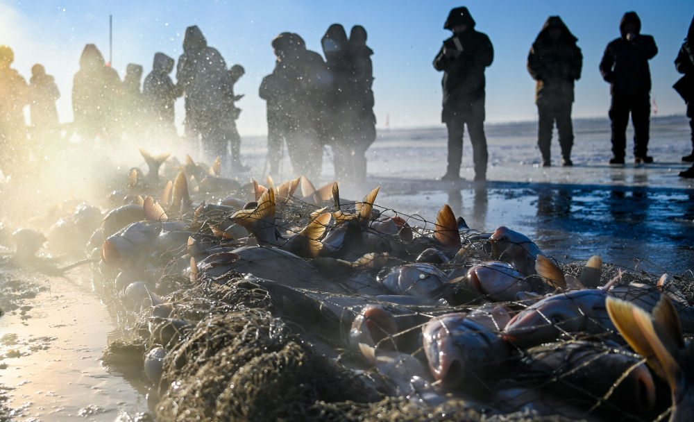镜观·回响丨生态美，旅游兴——查干湖的绿色交响