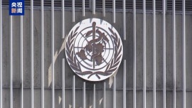 视频丨美国正式退出世界卫生组织_fororder_91248fcb-b20d-4d96-9d00-f73c25aaddf1.1920x1080.960x540