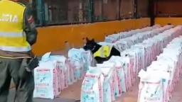 哥伦比亚查获近十年最大宗毒品案 价值超3亿美元_fororder_20251122120433448