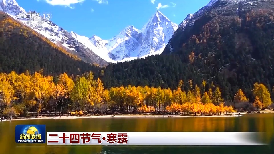 文化中国行丨二十四节气·寒露 白云红叶 菊有黄华