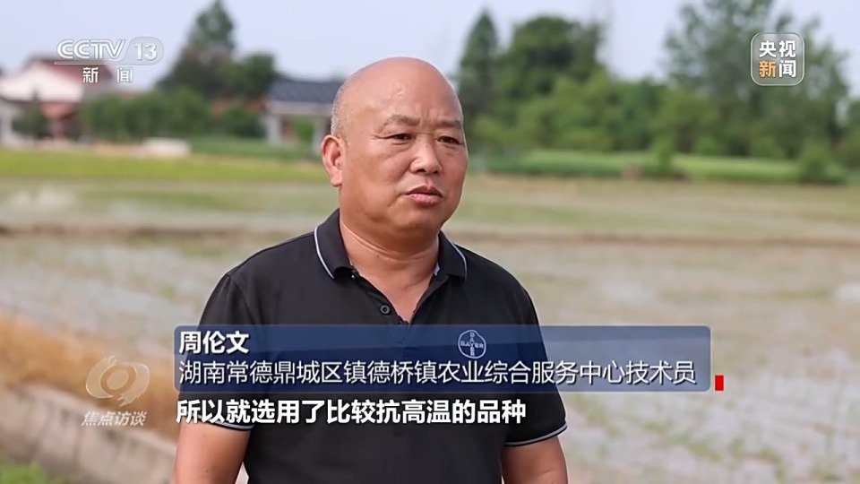 焦点访谈丨良田+良种+良机+良法 来看各地保丰收秘籍