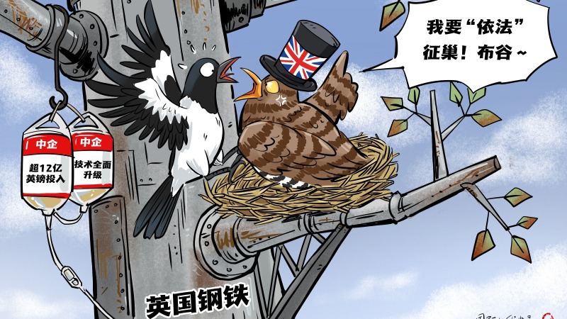 【国际漫评】鸠占鹊巢