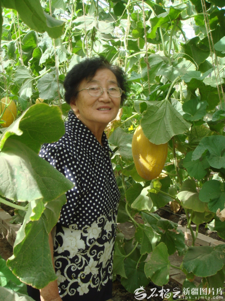 致敬新疆榜样丨 吴明珠：把瓜的甘甜献给人民