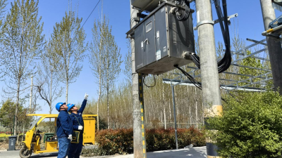 Jiaozuo, Henan: Tailored Power Services Safeguard Morel Mushroom Farming
