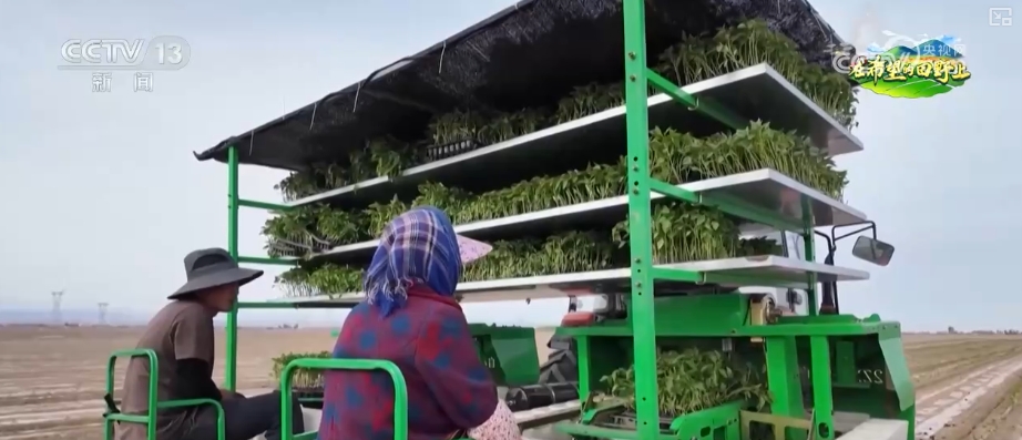 精播细作提质增效 智能农机成春耕生产“主角”