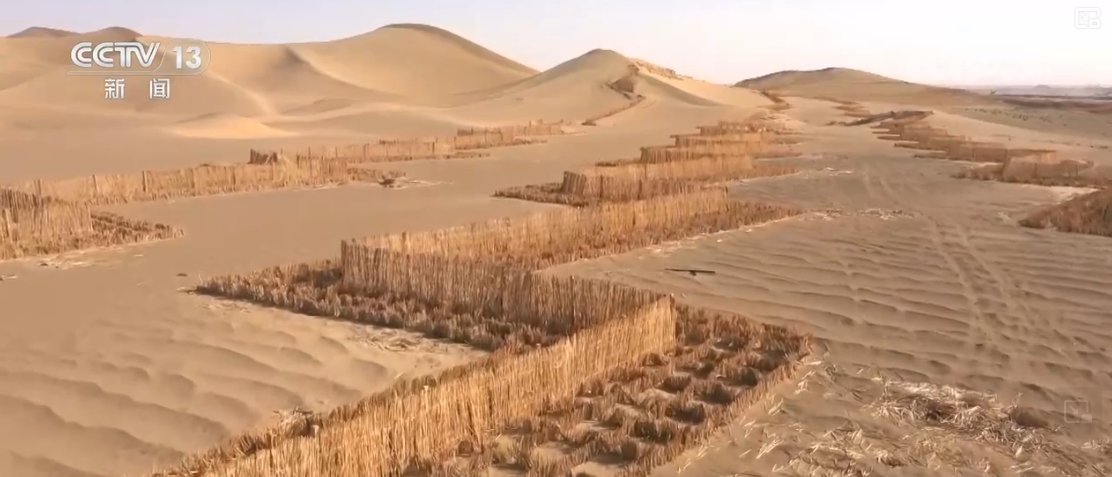 兼具治理与发展!防沙治沙新奇迹接续不绝 “锁”沙逐绿拓宽“绿色防线”