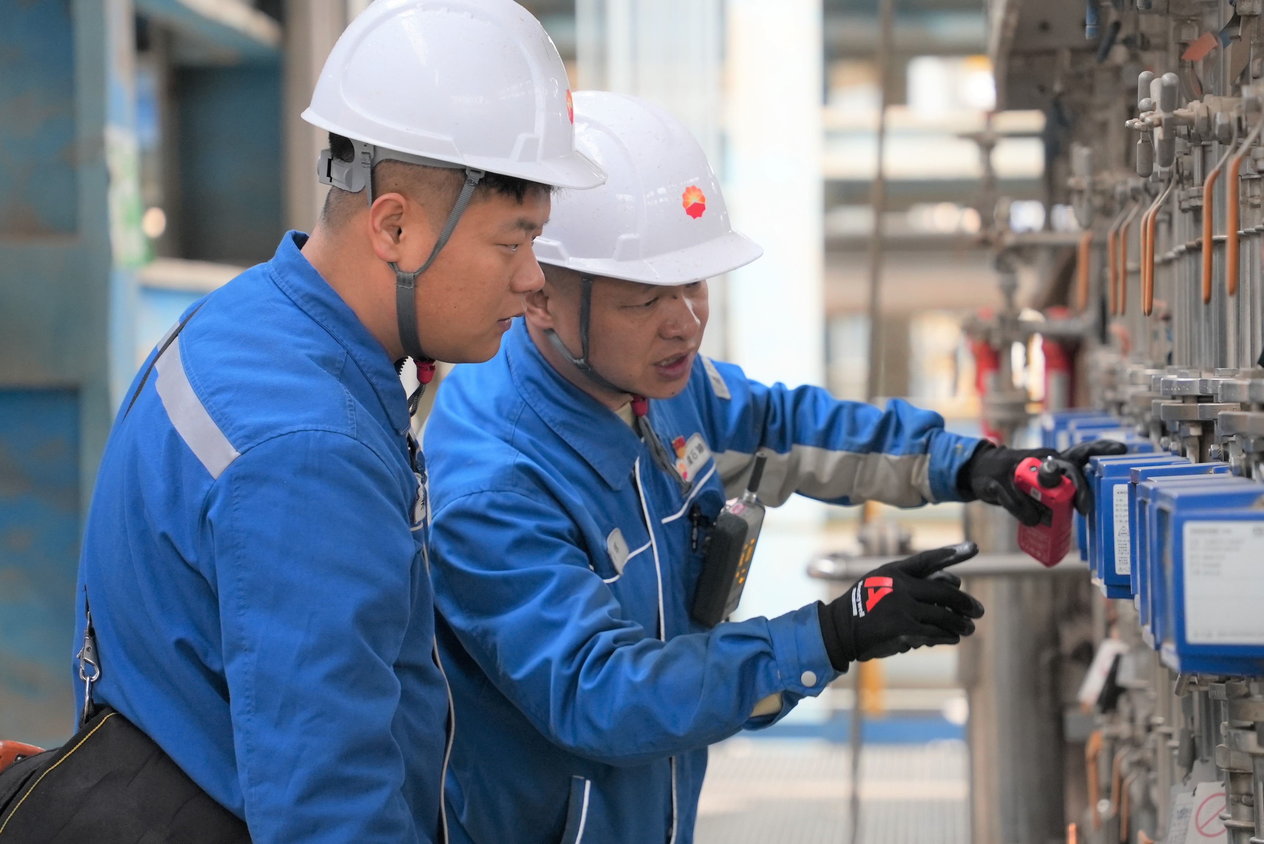 在“格”中各司其职 在“网”间协同作战_fororder_1