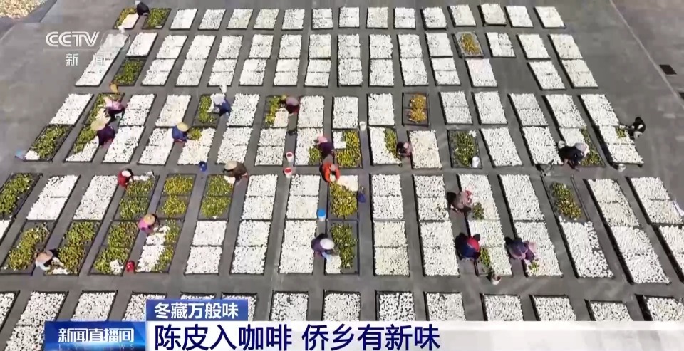 视频丨一粒豆一颗柑 中国味道饮品里藏着“绿色致富密码”