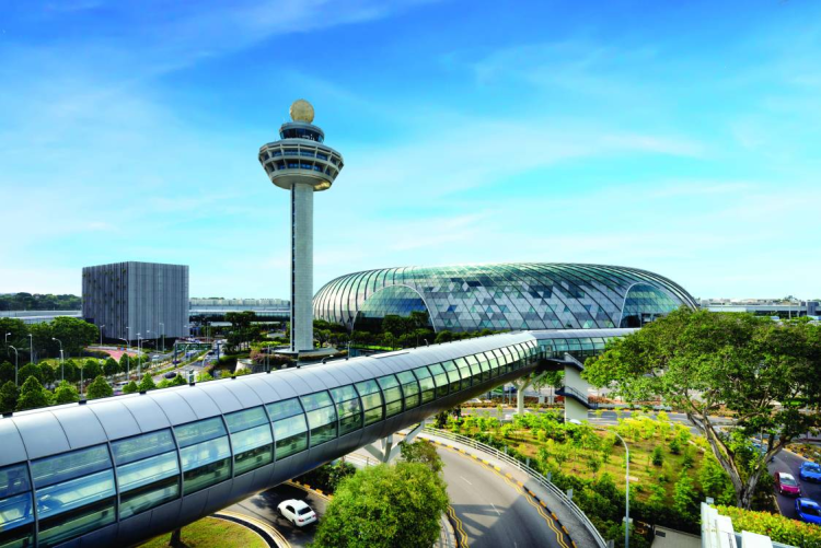 天津航空贵阳 — 新加坡航线 架起跨越山海“双向奔赴”的空中桥梁_fororder_图片10