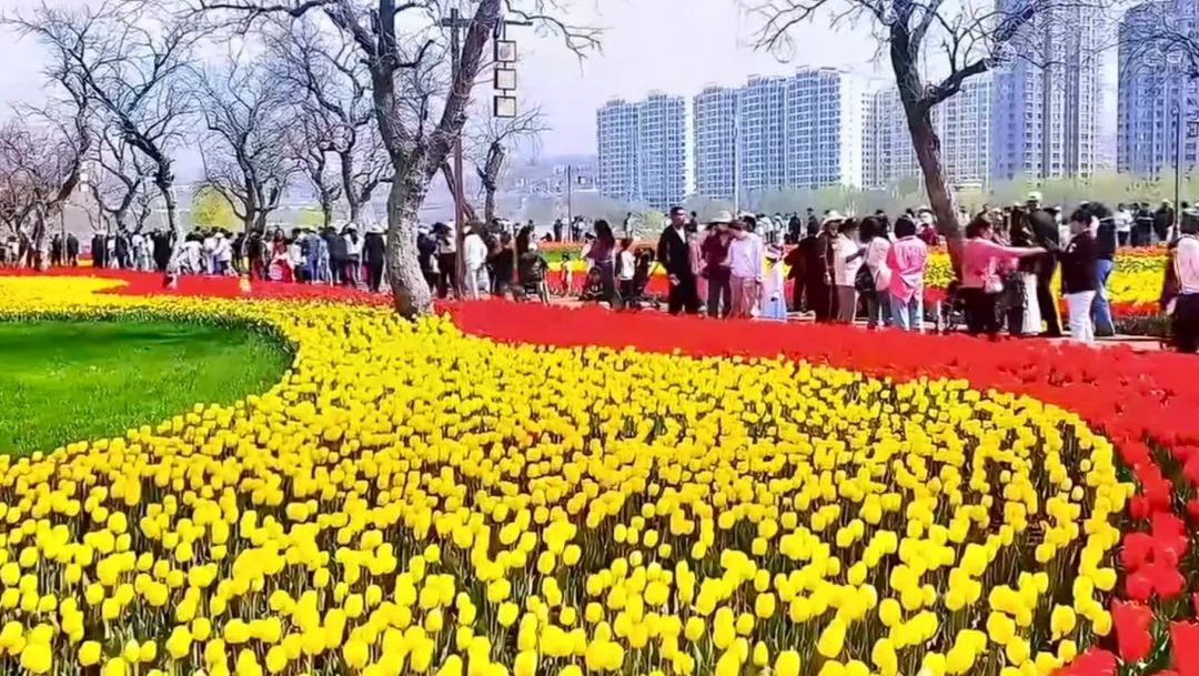 “五一”黄金周完美收官——70多万游客平安畅游零事故，全域联动书写文旅安全保障“高分答卷”_fororder_刘家峡浪漫黄河花堤