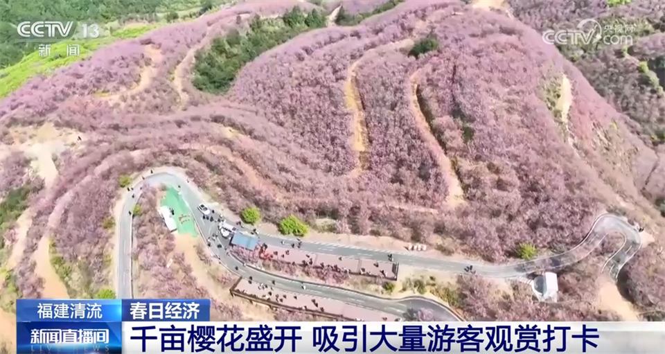 “县域游”“滨海游”“赏花游”热力足 文旅市场释放高质量发展新潜力