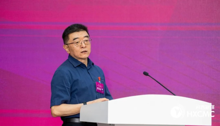 2025天津五大道金融论坛分论坛举办 共探基金产业驱动科技金融高质量发展_fororder_南开大学金融学院李学峰教授发言