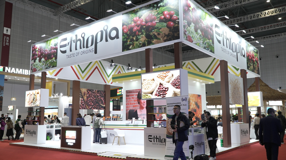 马达加斯加等最不发达国家亮相进博会 期待拓展中国市场