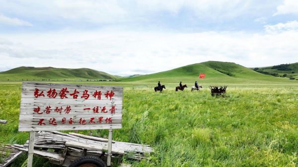 石榴花开北疆红·籽籽同心家国情 | 草原上的生命赞歌