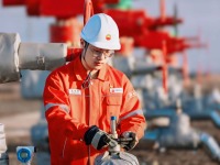 群英聚天山 携手筑梦想——新时代青年扎根新疆建功立业观察