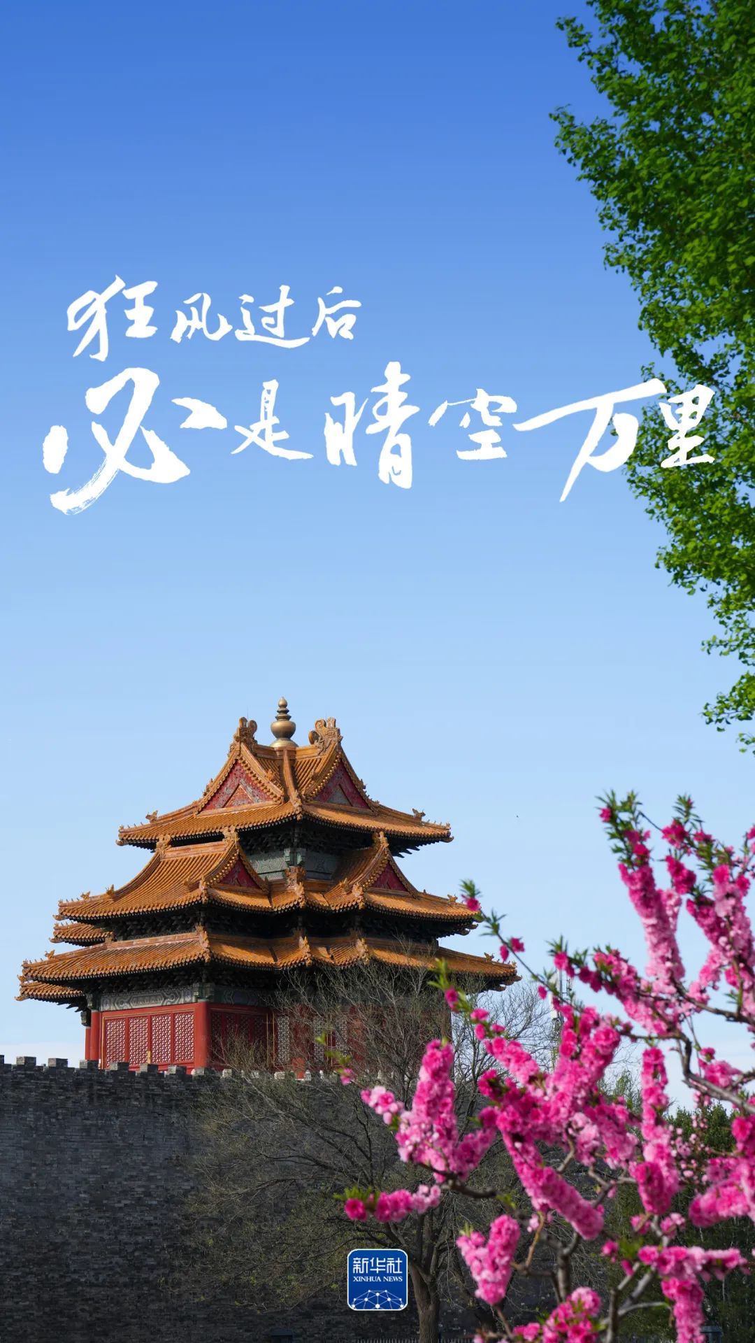 狂风过后，必是晴空万里！_fororder_1