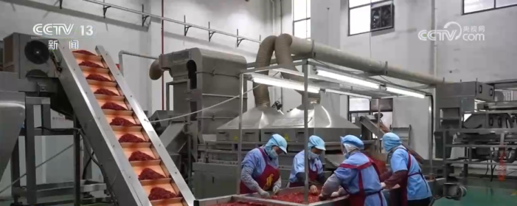 各地冬日果蔬供应量足价稳 丰富节日期间百姓“菜篮子”“果盘子”