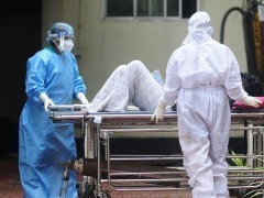 尼帕病毒或引发全球大流行？专家：不是新病毒，国内没病例，别慌！