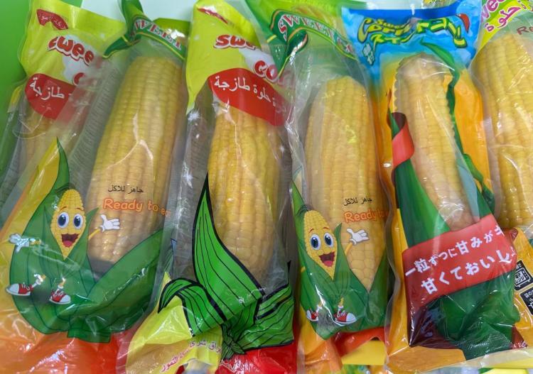 活力中国调研行丨农技创新！智慧农业蹚出黑土粮仓丰产增收新路径