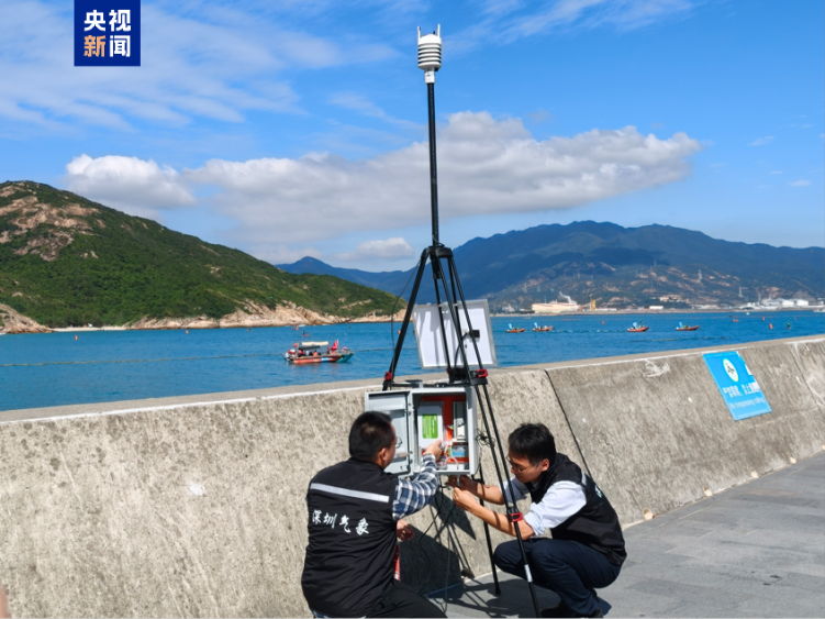 全运会首次真实海况竞技!马拉松游泳这样选出“好天气”