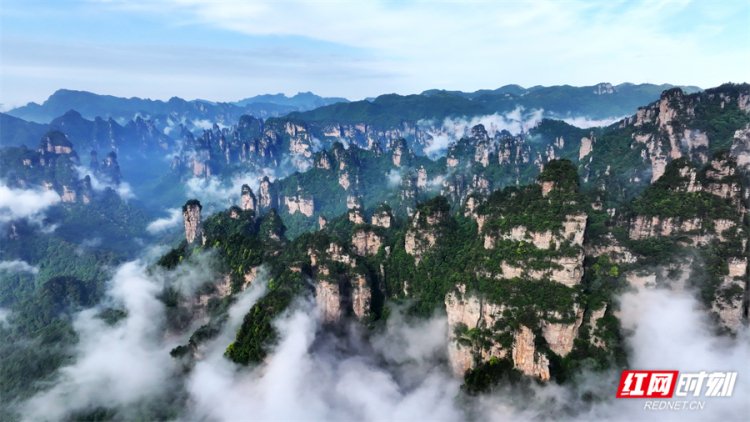 组图丨张家界国家森林公园“立夏”迎来云海仙景_fororder_2