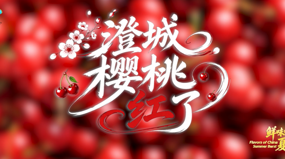 【鲜味中国·夏溢】澄城樱桃红了_fororder_00ac6f714626c4e76213cc6c83850829