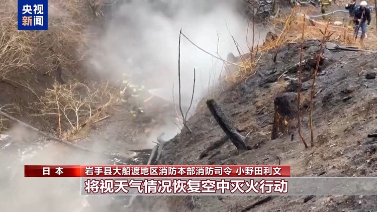 总台现场直击丨日本岩手县山火持续燃烧 民众不安情绪加剧