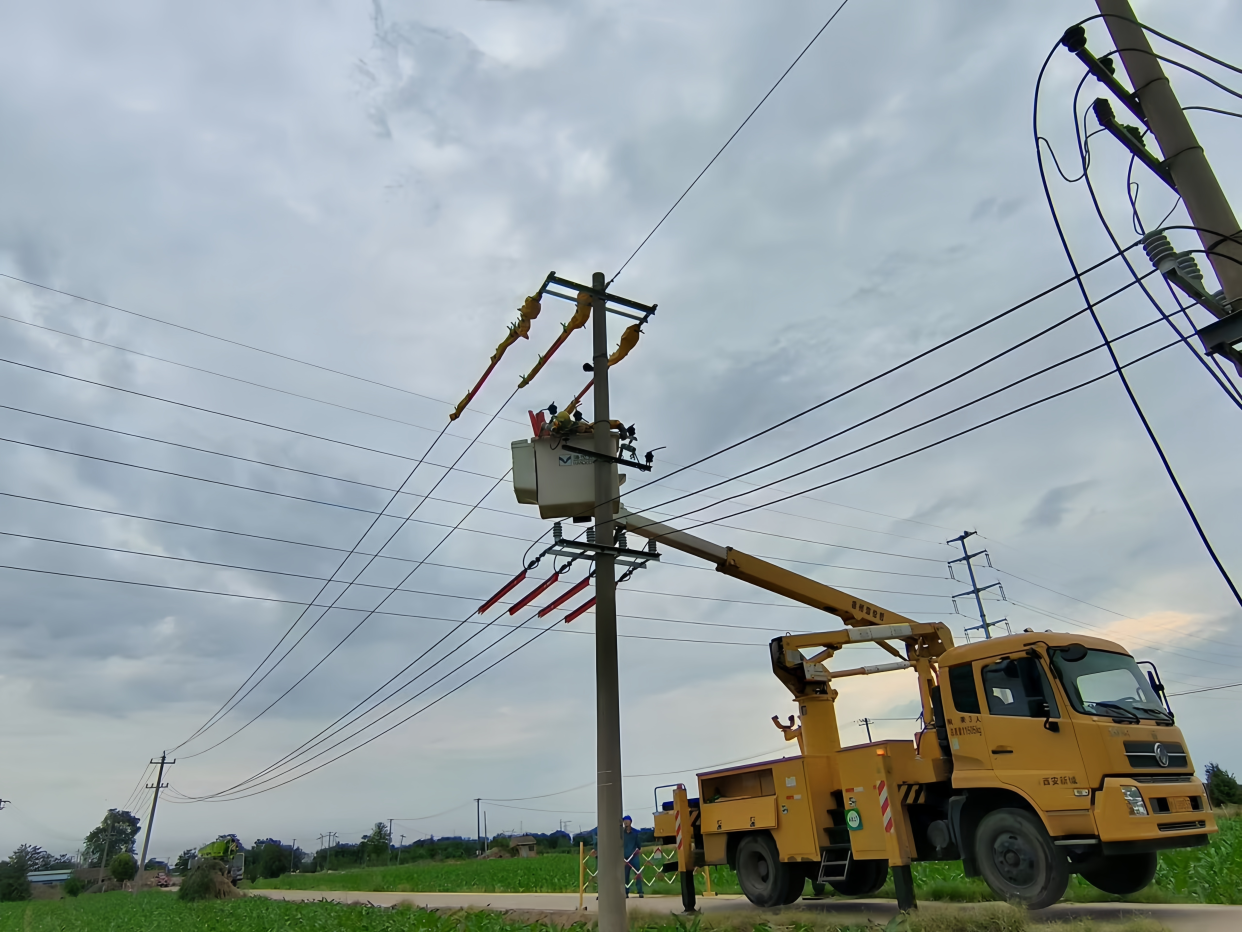State Grid Shaanxi Power Supply Company: Electric Power Fuels Rapid Growth of Modern Agriculture_fororder_图片2