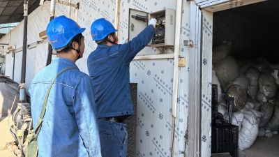 Jiaozuo, Henan: Reliable Power Supply Supports Bumper Harvests in Specialty Crop Farming