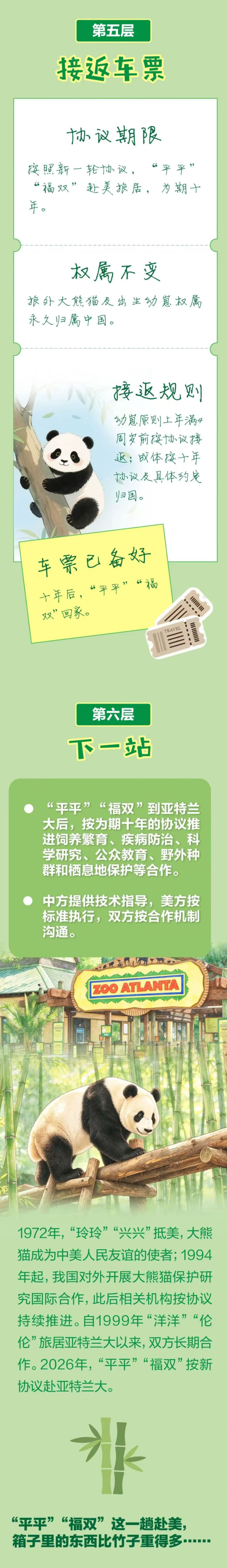 大熊猫“平平”“福双”去美国，行李箱大公开