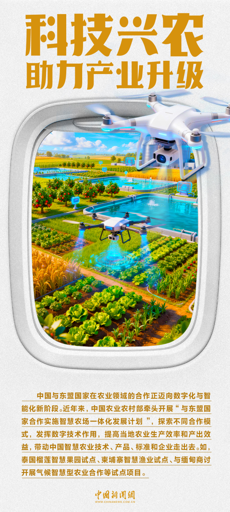 从绿色到数智，中国—东盟正在这样“联动升级”