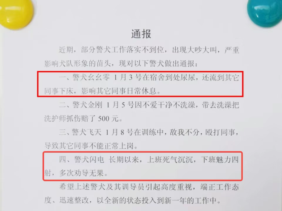 “上班死气沉沉、殴打同事、不爱洗澡”，通报批评！