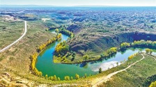 鄂尔多斯：大沟湾披上金色盛装