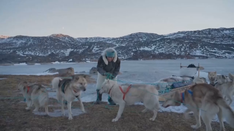 听鉴世界 | 冰川消融重创格陵兰岛狗拉雪橇文化 当地民众呼吁世界团结应对气候变化