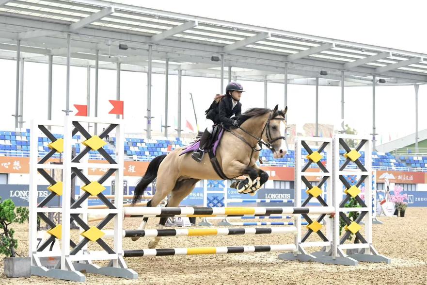 Riding into the Year of the Horse: Yangtze River Delta Equestrian League (Tonglu) Opens_fororder_微信图片_20260309093749_80_477