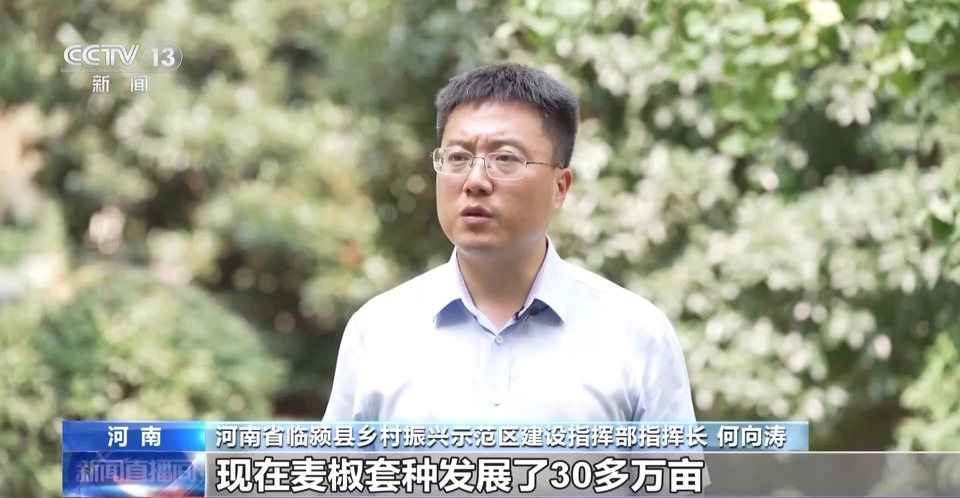 山林→海洋→舌尖 解锁我国粮食安全的“隐藏菜单”