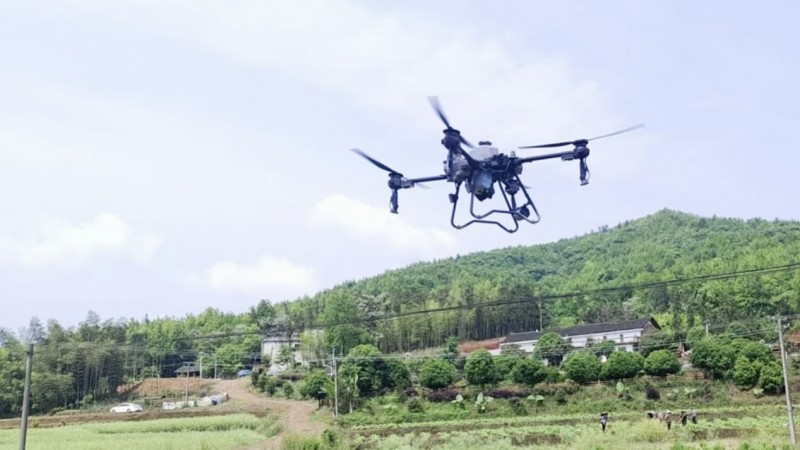 沃土之上，叶叶生金——以修身取予之道谱写乡村振兴新篇_fororder_W020251105422472369678